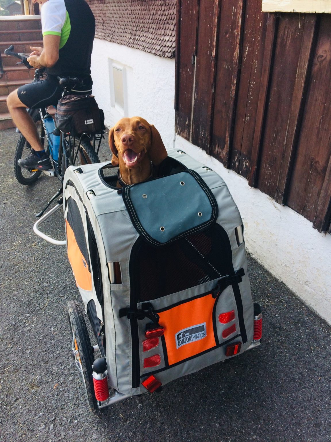 Test Fahrrad Anhänger Petego für Hunde ourworldoutside